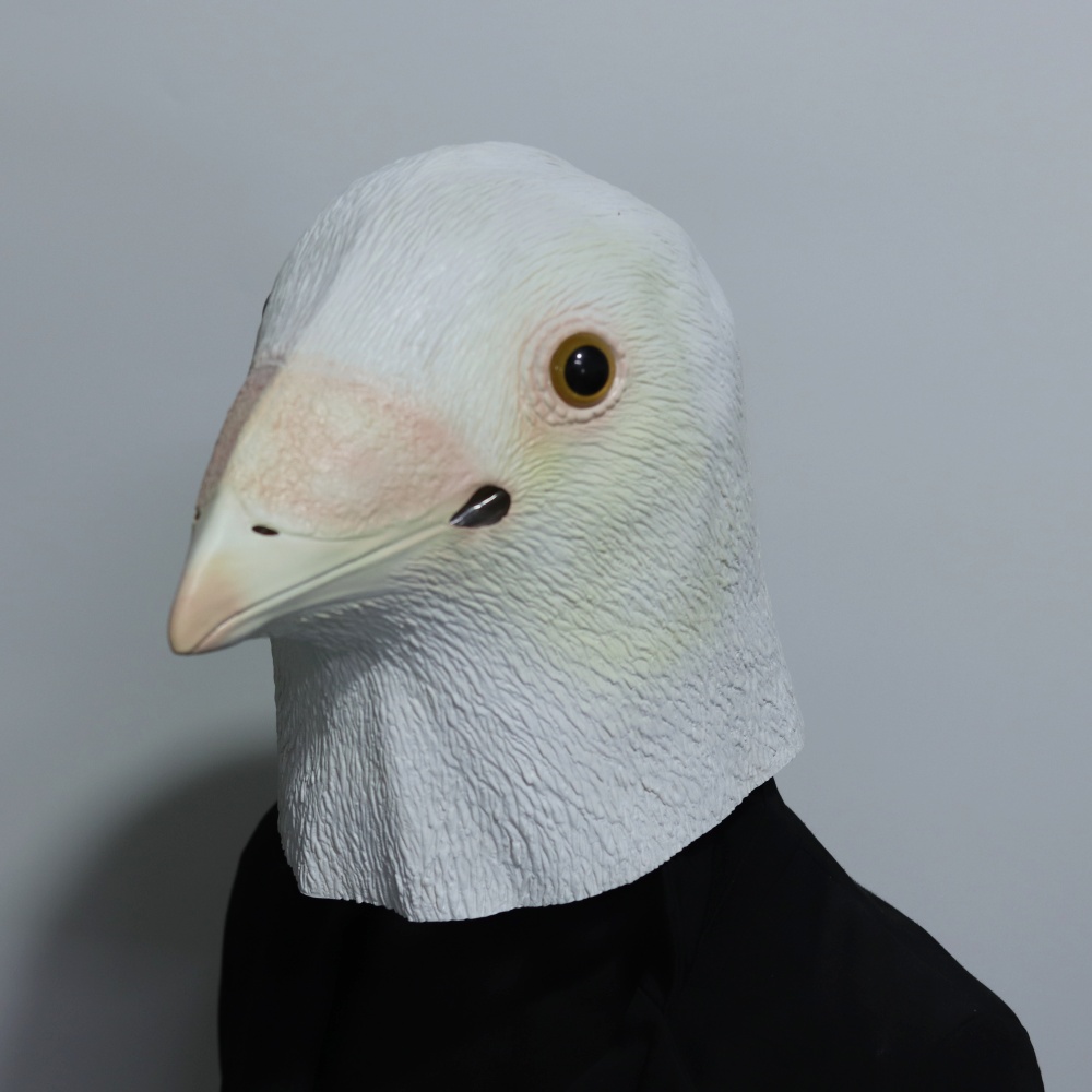 Realistische Möwenmaske aus La – Skincare Pigeon Bewertung und Preis